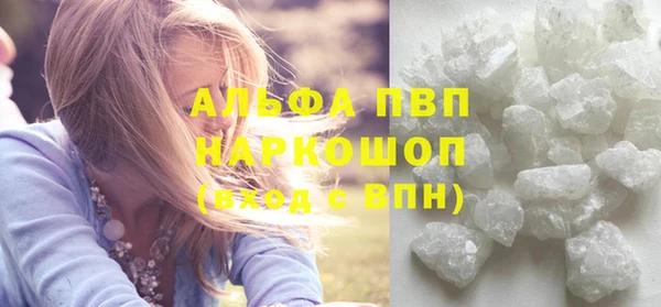 шишки Аркадак