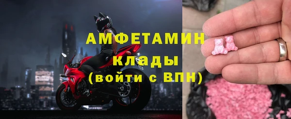 шишки Аркадак