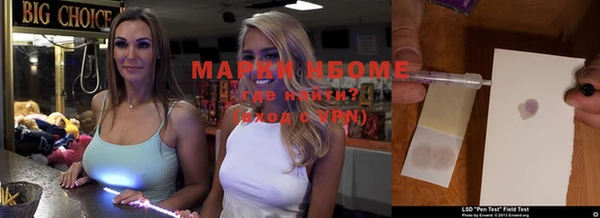 гашик Алексин