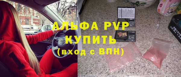 шишки Аркадак