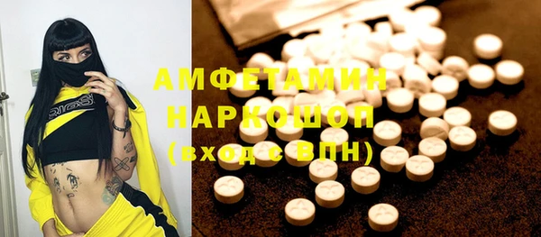гашик Алексин