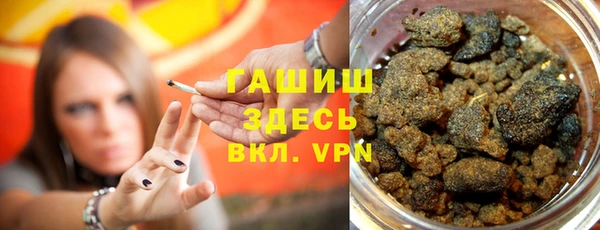 гашик Алексин
